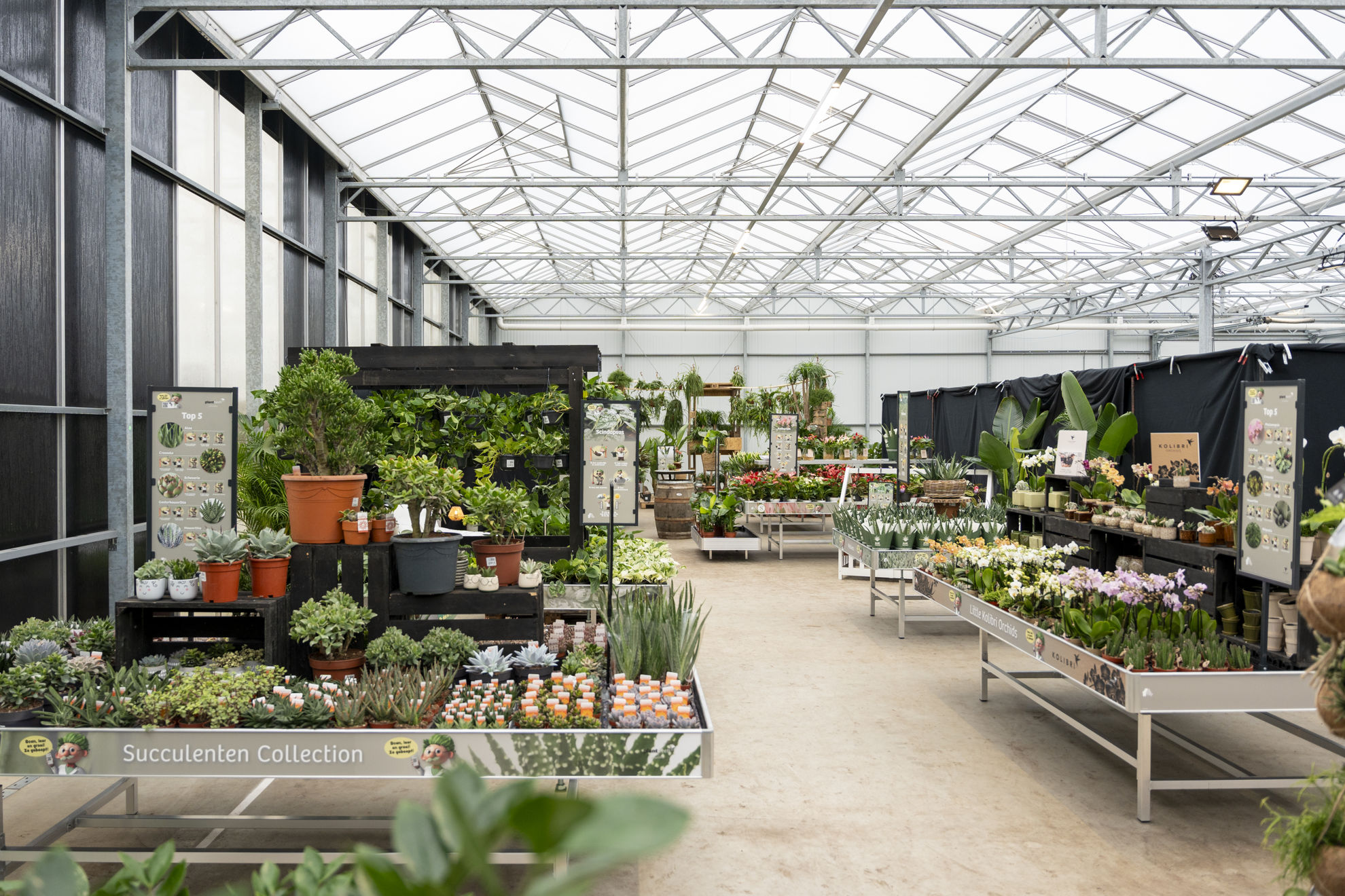 Picture for category Indoor concepten